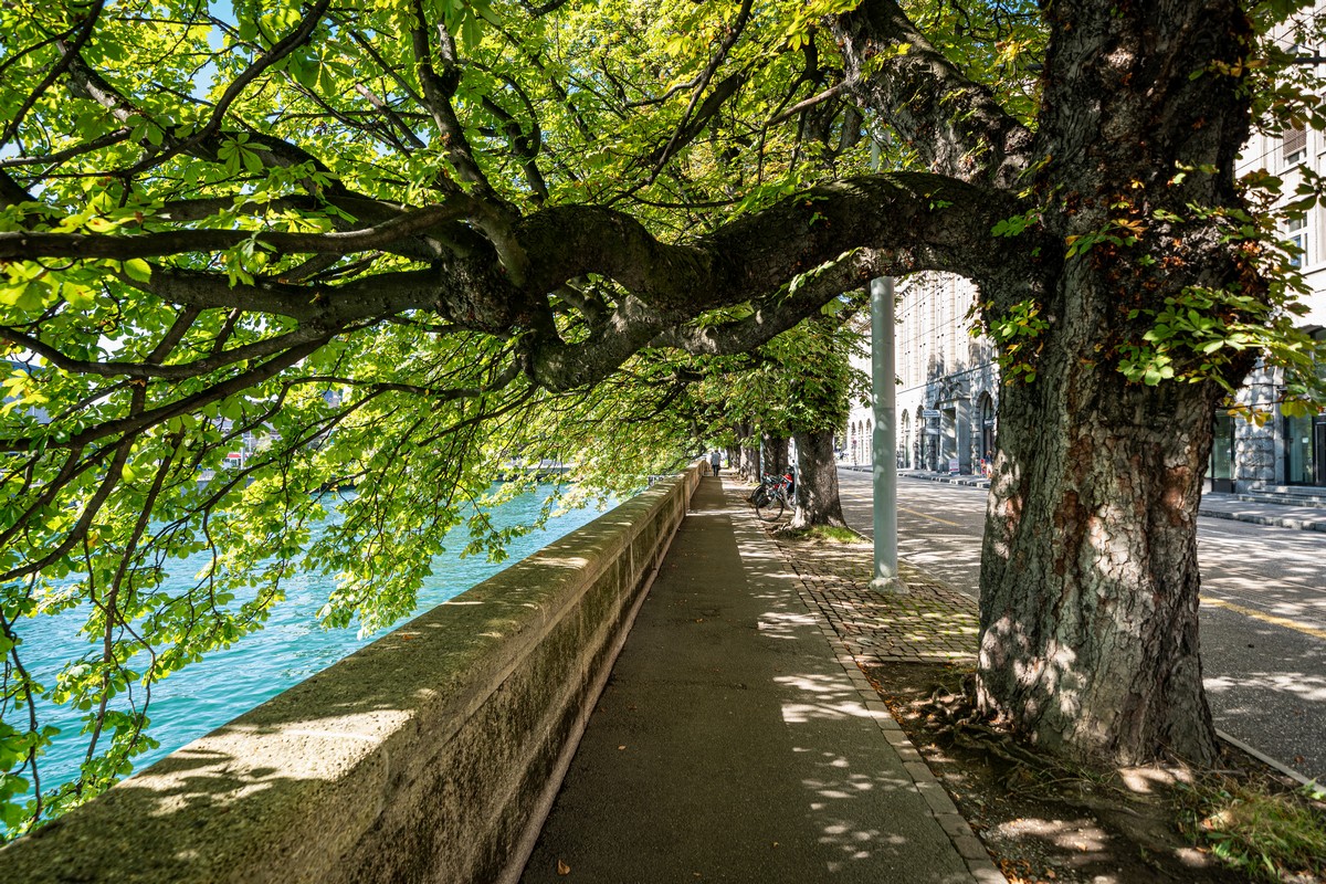 Zurich
